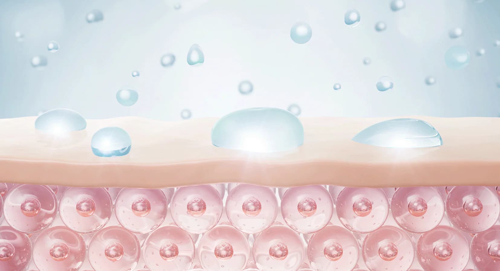 cilt bariyeri polinükleotidler